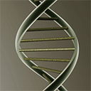 Solenoide de ADN
